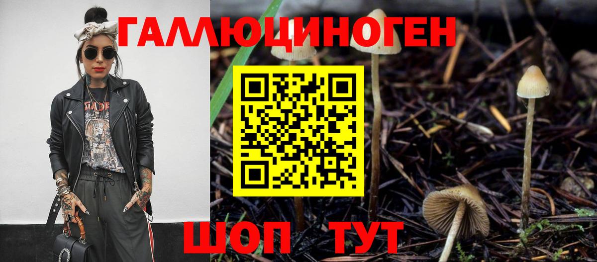 Псилоцибиновые грибы Cubensis Камень-на-Оби