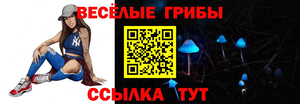 Псилоцибиновые грибы Psilocybe  Псилоцибиновые грибы прущие грибы  Камень-на-Оби  Вход с VPN 